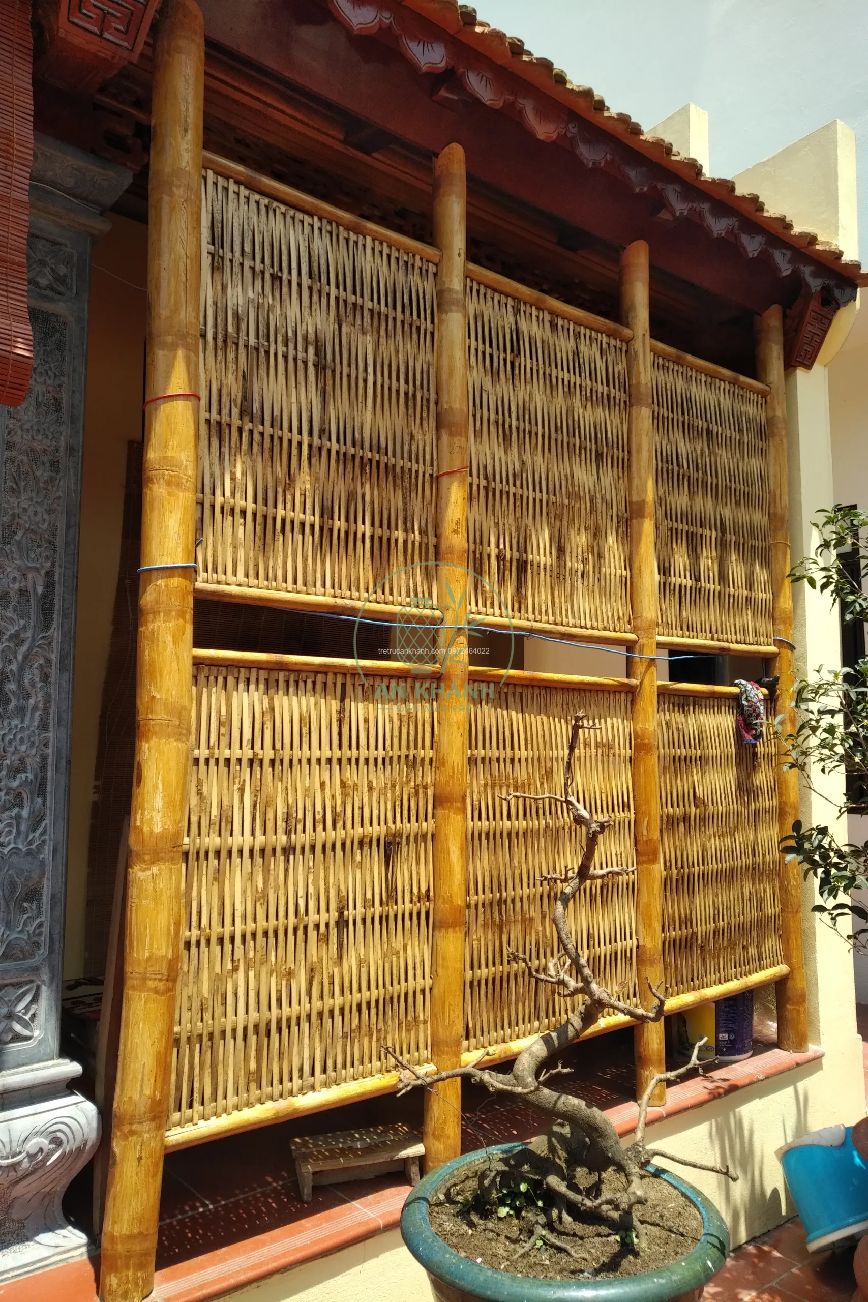 dai-tre-tu-nhien dại tre mộc tự nhiên